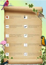Zoo animals: facts scavenger hunt (p.2)