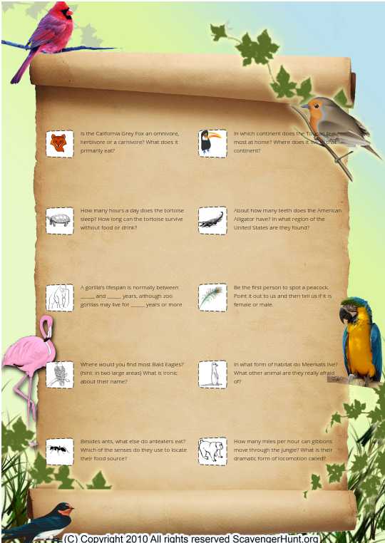 Zoo animals: facts scavenger hunt (p.2)
