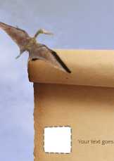 Jacob  and Hady’s    Dino hunt