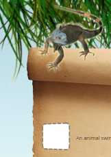 Wild & Wiggly Zoo Scavenger Hunt